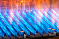 Rosebank gas fired boilers
